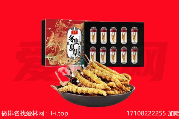 娄底市涟源回收虫草.jpg